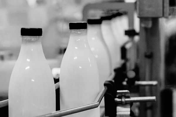 fábrica de processamento de leite